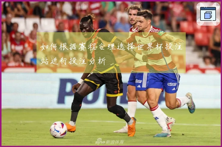 如何根据赛程合理选择世界杯投注站进行投注分析